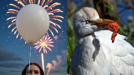 Por qué no deberías incluir en tu festejo de Año Nuevo globos de helio.