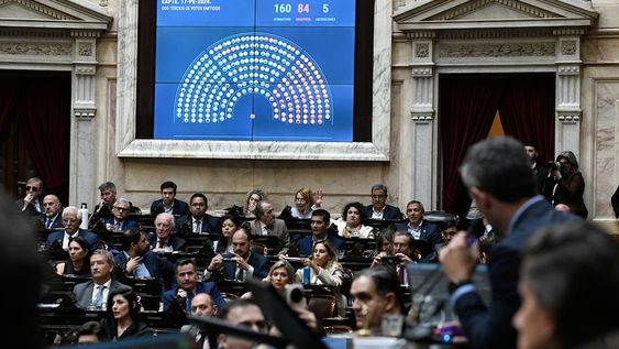 Diputados ratificó el Veto a la Ley de Financiamiento Educativo con 160 votos afirmativos, 85 negativos y 5 abstenciones. El voto de la diputada Araujo se tomó por Secretaría. (Prensa Diputados)