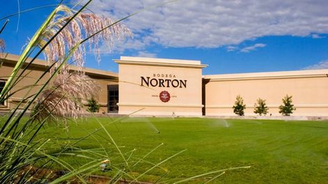 Preocupación en la industria vitivinícola por el efecto cascada de la presentación a concurso de acreedores de Bodega Norton