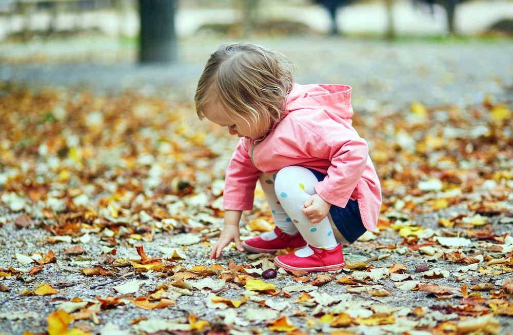 Con la llegada del otoño se abre la temporada de paseos por calles pintadas de mil colores. Es un tiempo para disfrutar de la naturaleza y aprender mucho sobre ella.