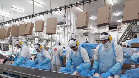 Granja Tres Arroyos | Archivo La Voz