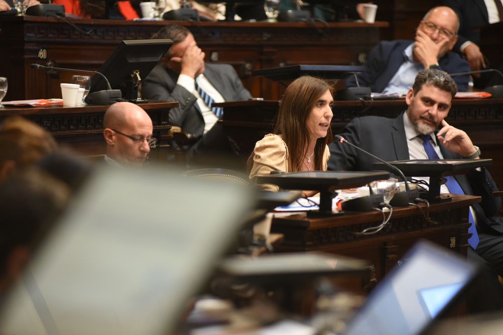 La senadora Natacha Eisenchlas, jefa del Interbloque de Cambia Mendoza. La senadora Natacha Eisenchlas, jefa del Interbloque de Cambia Mendoza.