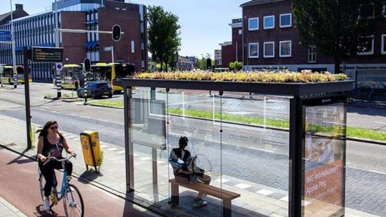 Conocé la ciudad que convirtió las paradas de micros en refugios para abejas