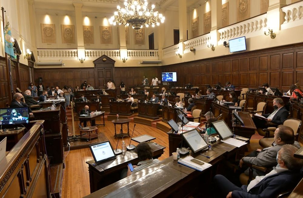 La Cámara de Senadores aprobó la Ley de Emergencia con la abstención peronista. Diputados la convertirá en ley. Foto: Orlando Pelichotti Foto: Orlando Pelichotti / Los Andes