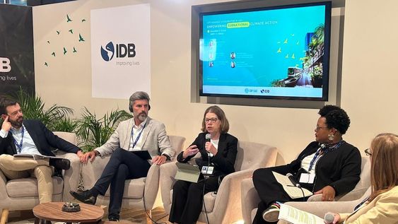 COP 28: Ulpiano Suarez expuso en el panel del Banco Interamericano de Desarrollo