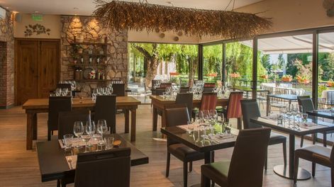 Nuevas experiencias en Bodega Renacer