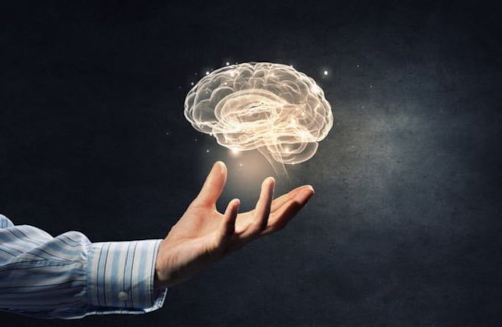 ¿Cómo se puede tener un cerebro activo y sano?