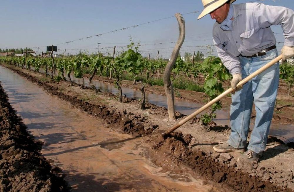Fondo Compensador Agrícola