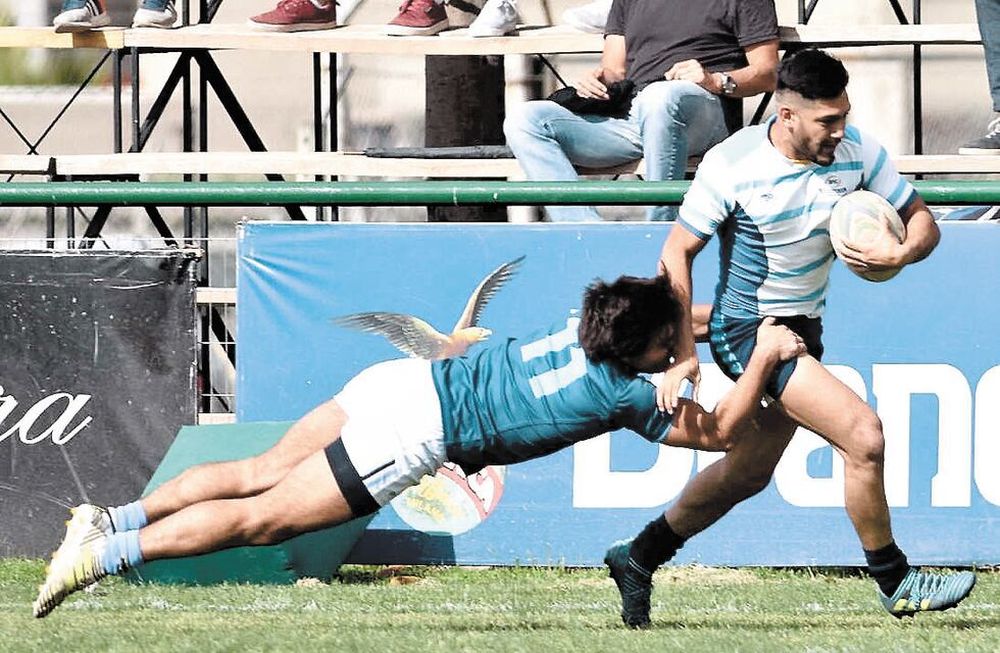 Rugby: Liceo en semis