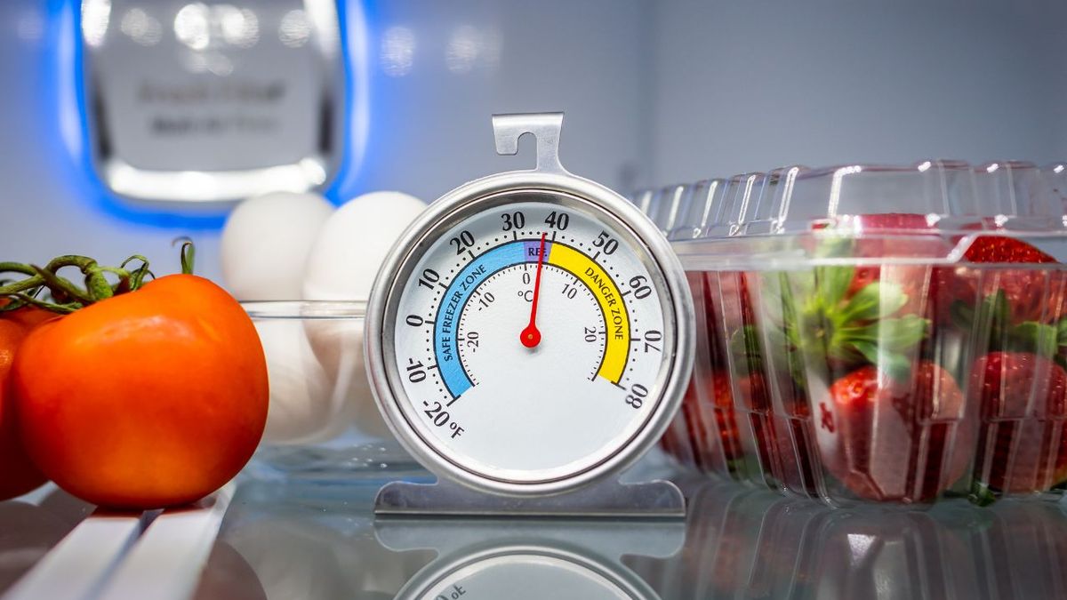 Cuál es la temperatura ideal de la heladera en invierno para que no se congelen los alimentos y ahorre energía
