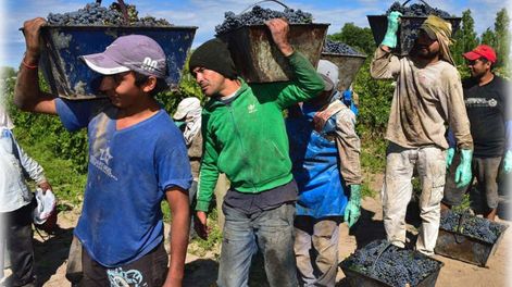 El espejismo de los equilibrios vínicos - Por Mauro A. Sosa