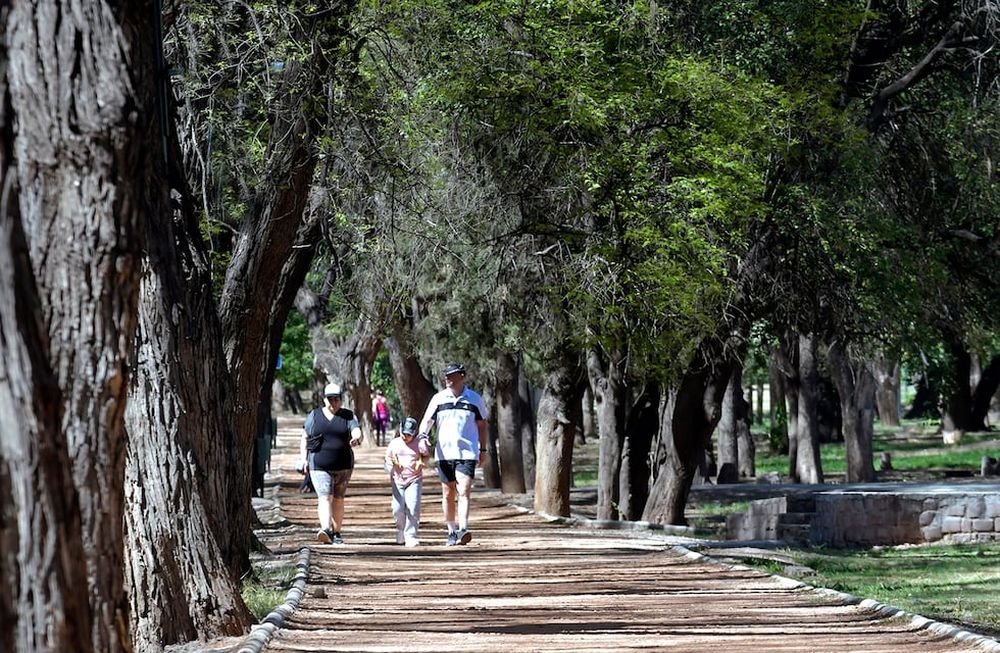 Orlando Pelichotti / Archivo Los Andes