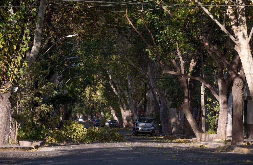 Consejos preventivos frente a la alerta por viento zonda