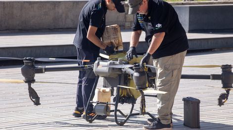 Ulpiano Suarez supervisó la pulverización, con productos orgánicos, del arbolado público en plaza Independencia