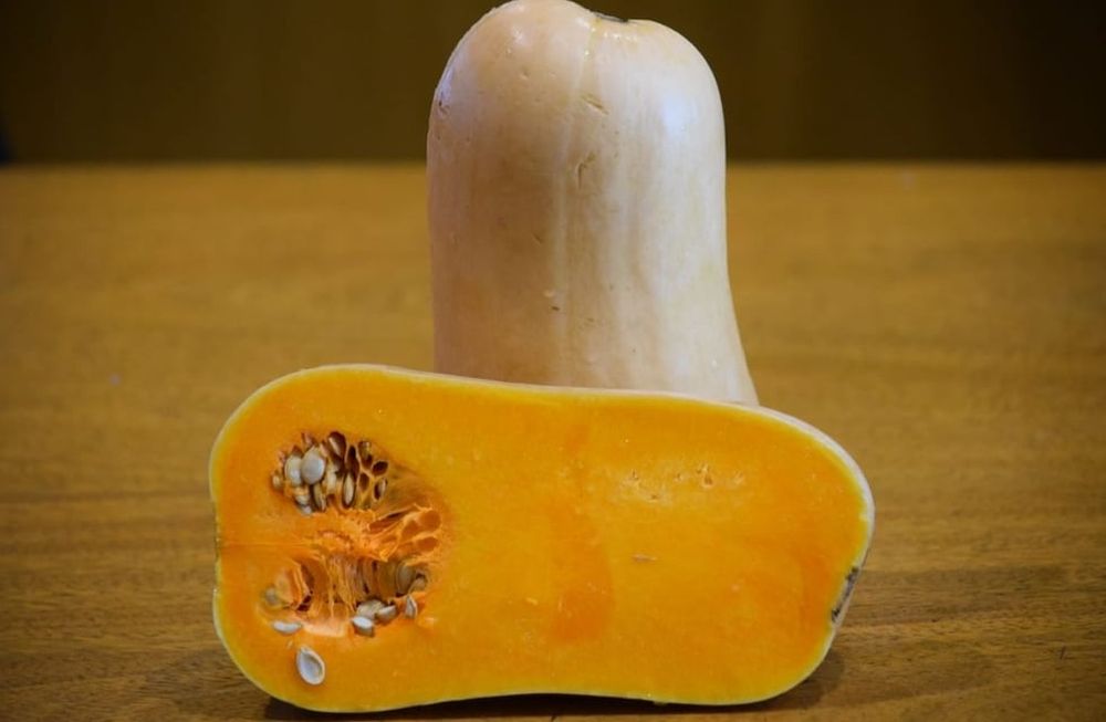 ¿Cómo se identifica la calidad del zapallo?