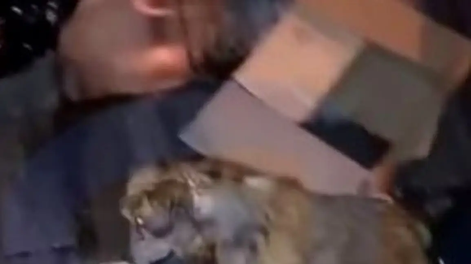 Una perra fue encontrada en una bolsa cuando estaba a punto de ser triturada por la compactadora de un camión de basura en la ciudad de Salta.