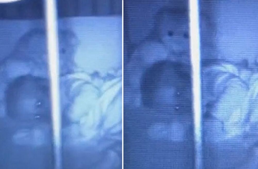 El perturbador video que muestra a un oso de peluche poseído en la cuna de una beba