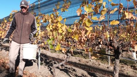 Comenzó el pago a contratistas del Fondo Compensador Agrícola