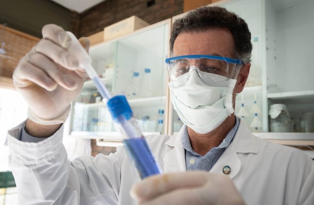 Walter Manucha, el investigador mendocino que busca ganarle al Covid-19 con vitamina D