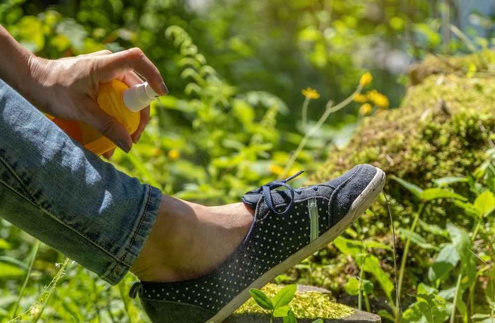 Brote de dengue: por qué es distinta esta temporada según el Ministerio de Salud de la Nación. La cantidad de casos que se han presentado ha superado ampliamente a la estampadas anteriores y la enfermedad se ha extendido a todo el territorio nacional.