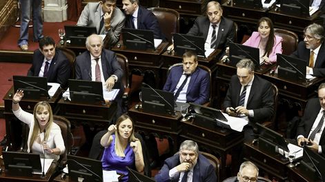El Senado aprobó la suspensión de las PASO.