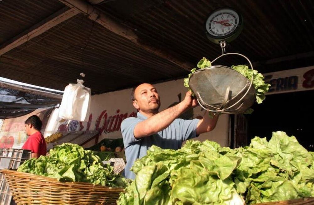 Hortalizas. No hay mucha expectativa de que el consumo vaya a incrementarse.