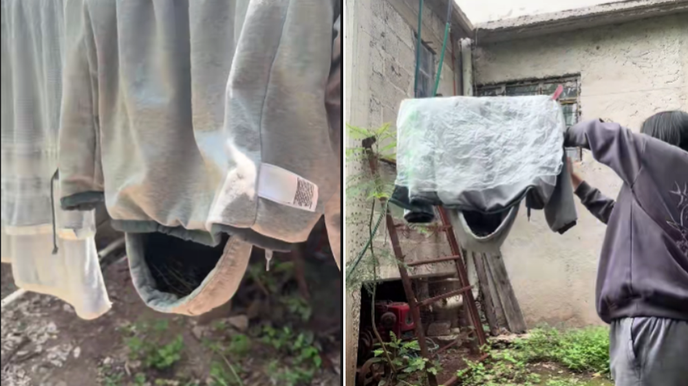 Dejó su ropa colgada durante varios días y un tierno hallazgo hizo que la dejara allí