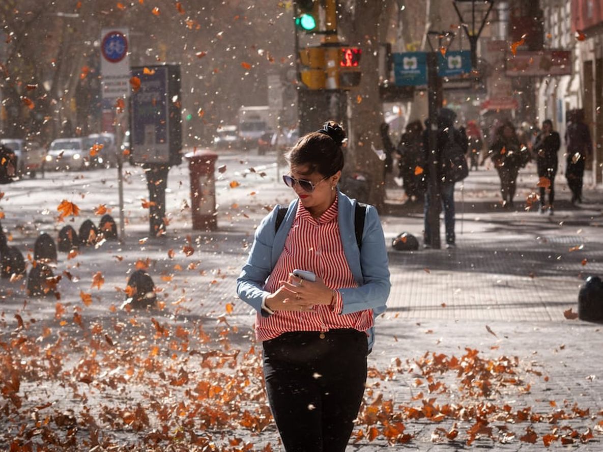 Alerta de viento Zonda en Mendoza: cuándo y en qué zonas - Foto archivo / Los Andes