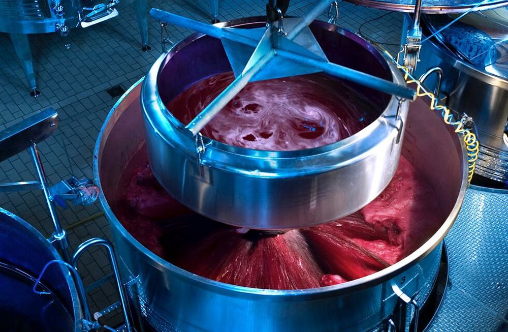 Banco de vinos: las claves para entender el proyecto del gobierno