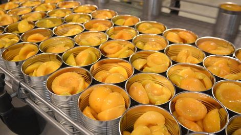 Los Andes | El sector duraznero vende la mayoría de su producción en Argentina, pero hay buenas oportunidades hacia afuera. José Gutiérrez / Los Andes