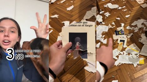 Su perro le destruyó tres libros y lo compartió como crítica literaria&nbsp;