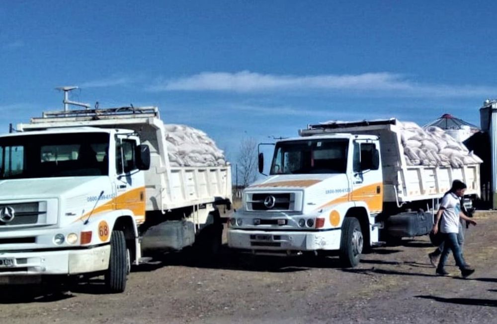 Para reemplazar los postes de 1 hectárea se necesitan 6 mil kilos de plástico.