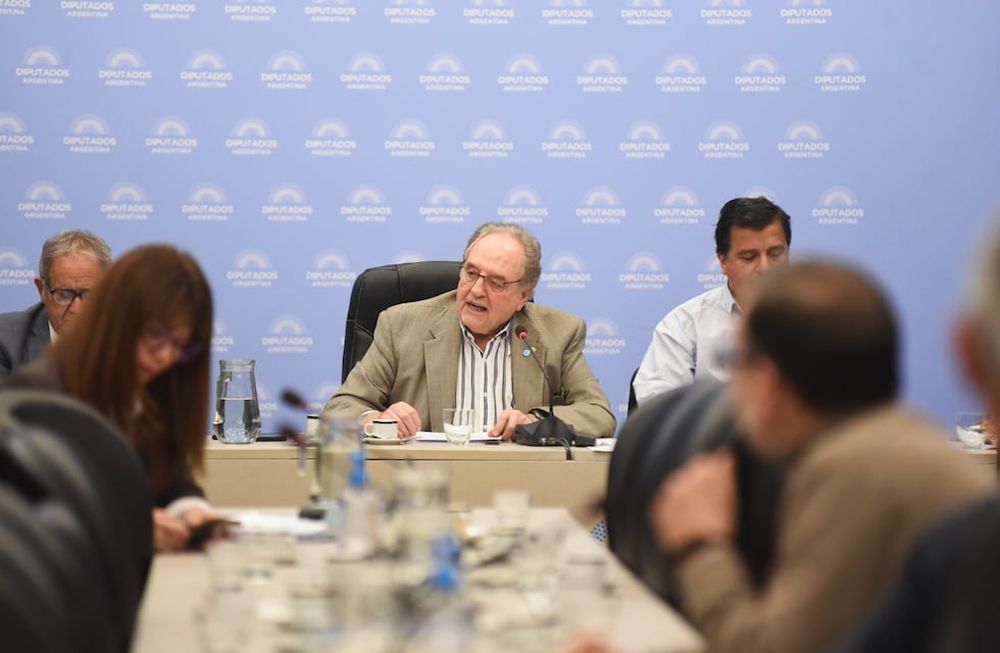 El dictamen de mayoría del Frente de Todos sobre la reforma en Ganancias recibió 25 firmas (Foto: HCDN)