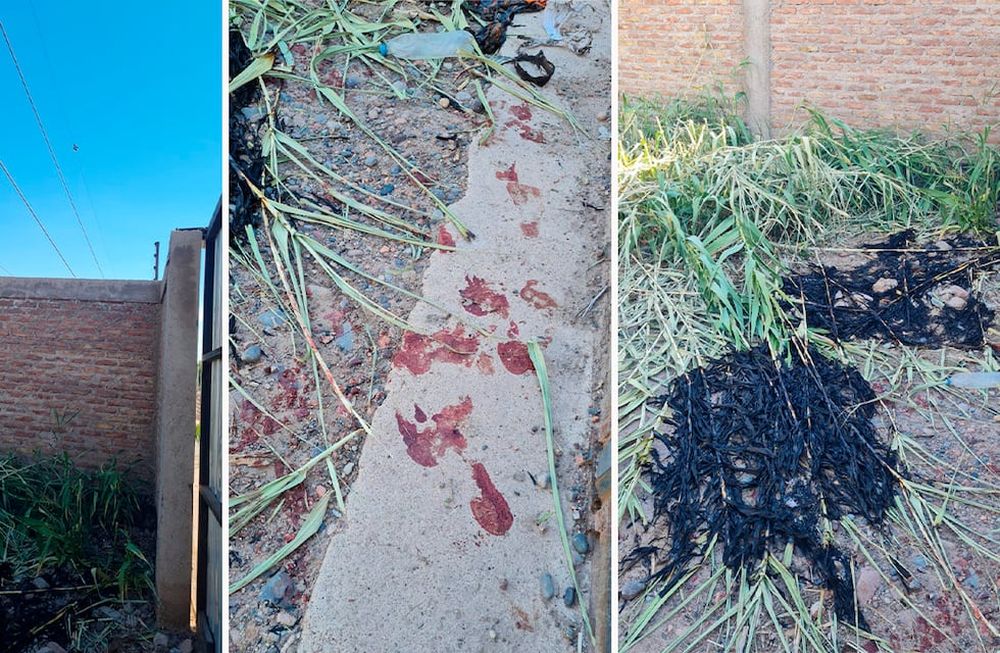 Un hombre resultó lesionado tras tatar manipular cables de media tensión en Luján de Cuyo. Foto: Prensa Seguridad Mendoza