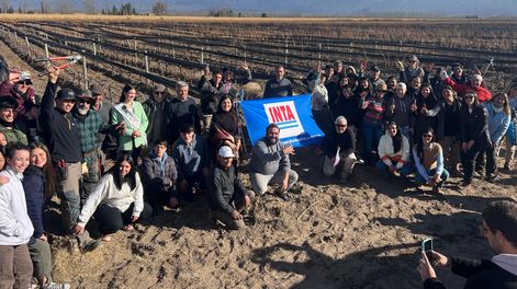 Los Andes | Primer Festival de Poda en Vid