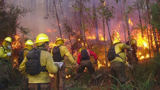 Incendios forestales en Chubut&nbsp;