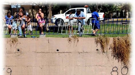 Muertes por accidentes de tránsito, una epidemia del progreso