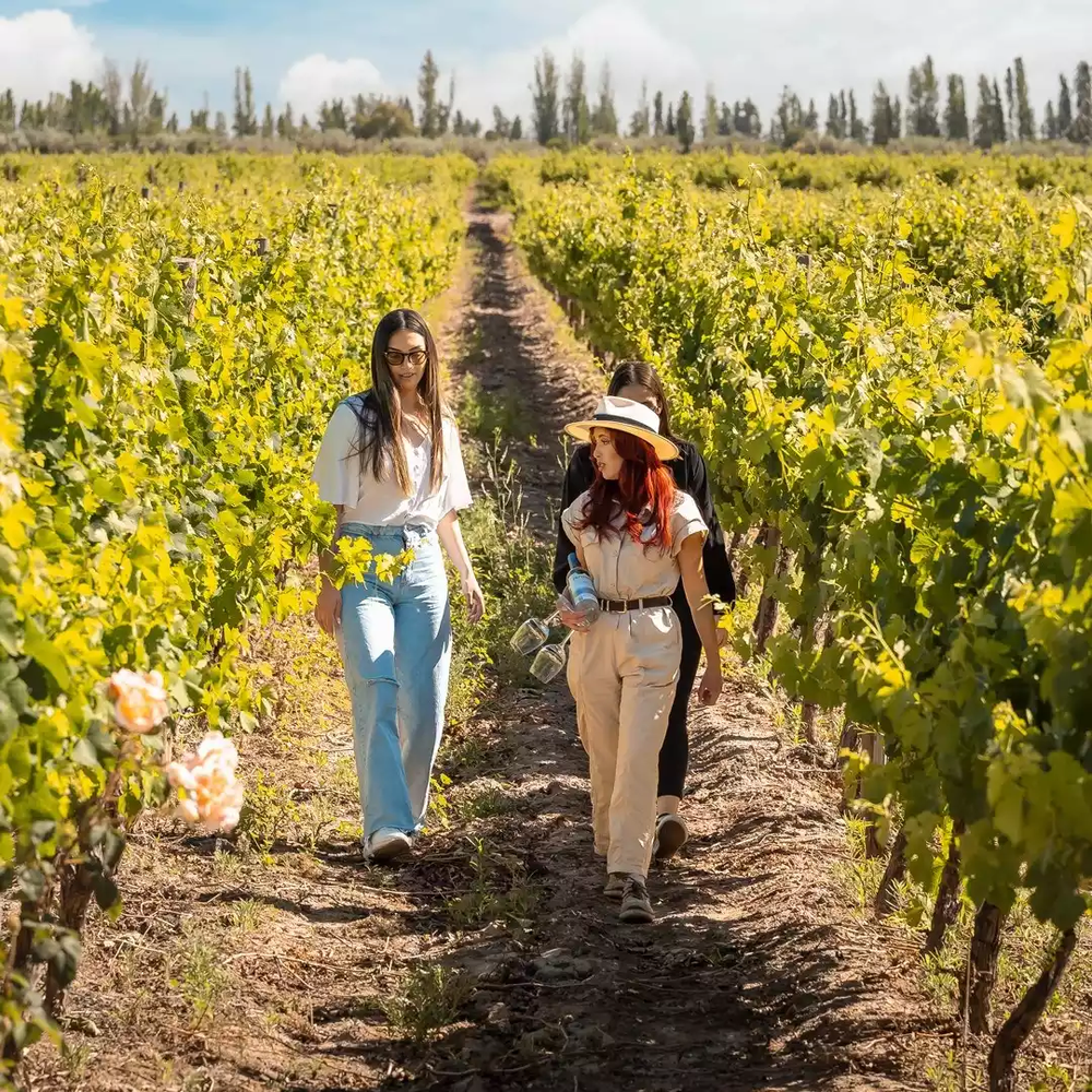 Bodega Trivento