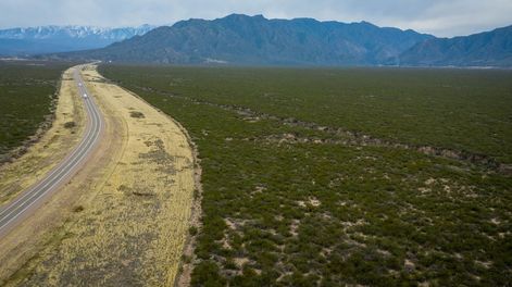 Los Andes | El área de Luján de Cuyo que alberga un jarillal de 240 hectareas y que se pretende declarar como área natural protegida. Foto: Ignacio Blanco / Los Andes