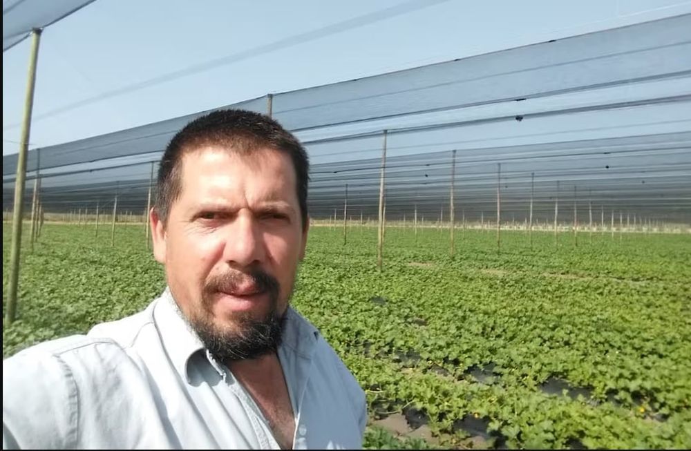 “Uno siempre trata de mejorar; pusimos riego por goteo, instalamos mallas antigranizo... hemos hecho lo que hemos podido”
