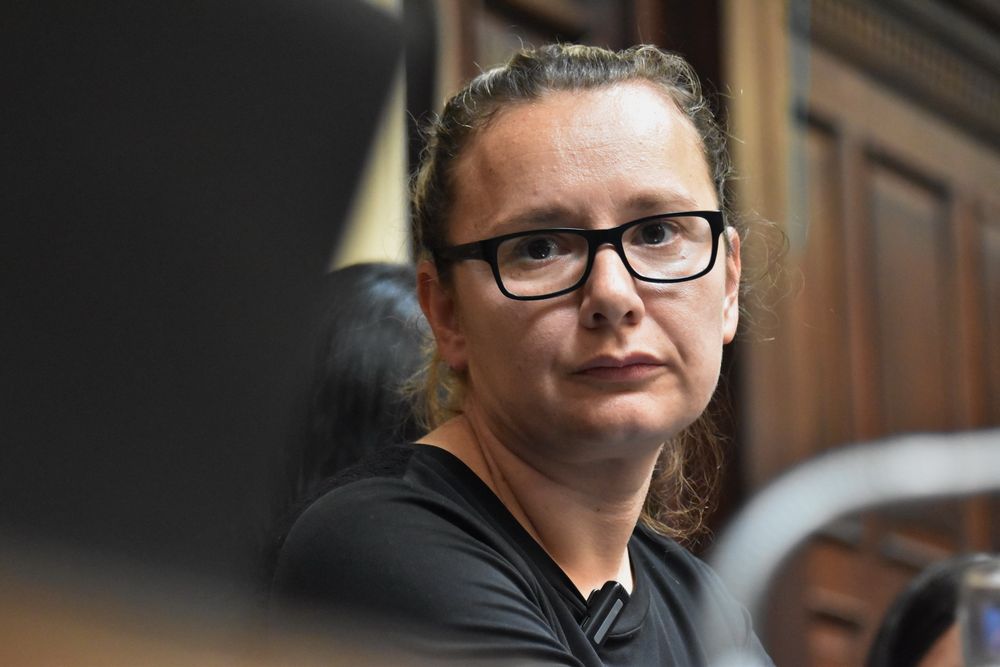 La diputada provincial Stella Huczak (PRO) presentó la iniciativa. 
