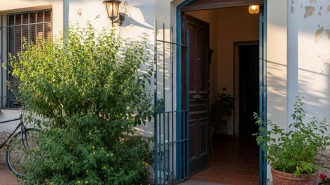 Los Andes | planta contra la envidia feng shui