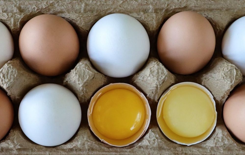 El huevo ha logrado posicionarse como uno de los protagonistas sustanciales de la dieta actual, pero no siempre fue así y se lo acusó de aumentar el colesterol.