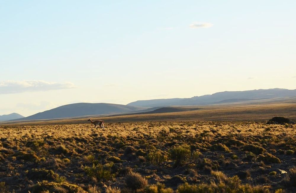 Imágenes de La Meseta de Somuncurá, Río Negro