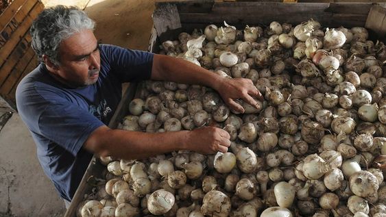 La situación con el mercado de Brasil, está complicando seriamente las expectativas en el mercado local. Muchos aseguran que hay que aguardar y no apresurarse. / Foto: José Gutiérrez