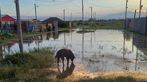Los Andes | Preocupación: El regreso de agua a puntos que estaban secos en el Río Mendoza inundó casas familiares en Maipú. Foto: Gentileza vecinos barrio Rincón de los Álamos