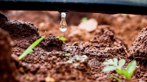 Los Andes | Desde el “INA afirman que, por no estar tecnificado el riego agrícola, se pierden 387 mil millones de litros de agua al año, un número superior al que se utiliza para consumo humano en toda la provincia”.