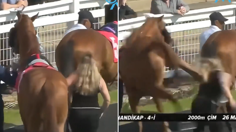 Impactante video: una mujer recibió una brutal patada de un caballo durante una carrera en Reino Unido