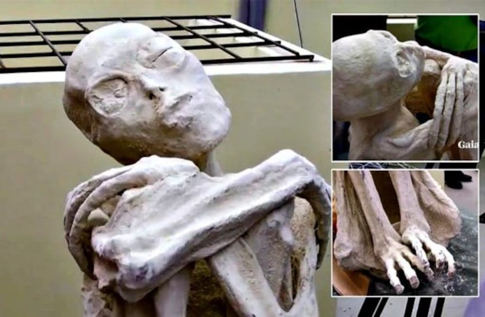 Aseguran que la momia de tres dedos hallada en Nazca no es humana