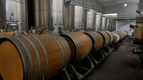 La vitivinicultura es una de las economías regionales que se encuentra en rojo en el semáforo de Coninagro. Foto: Orlando Pelichotti / Los Andes